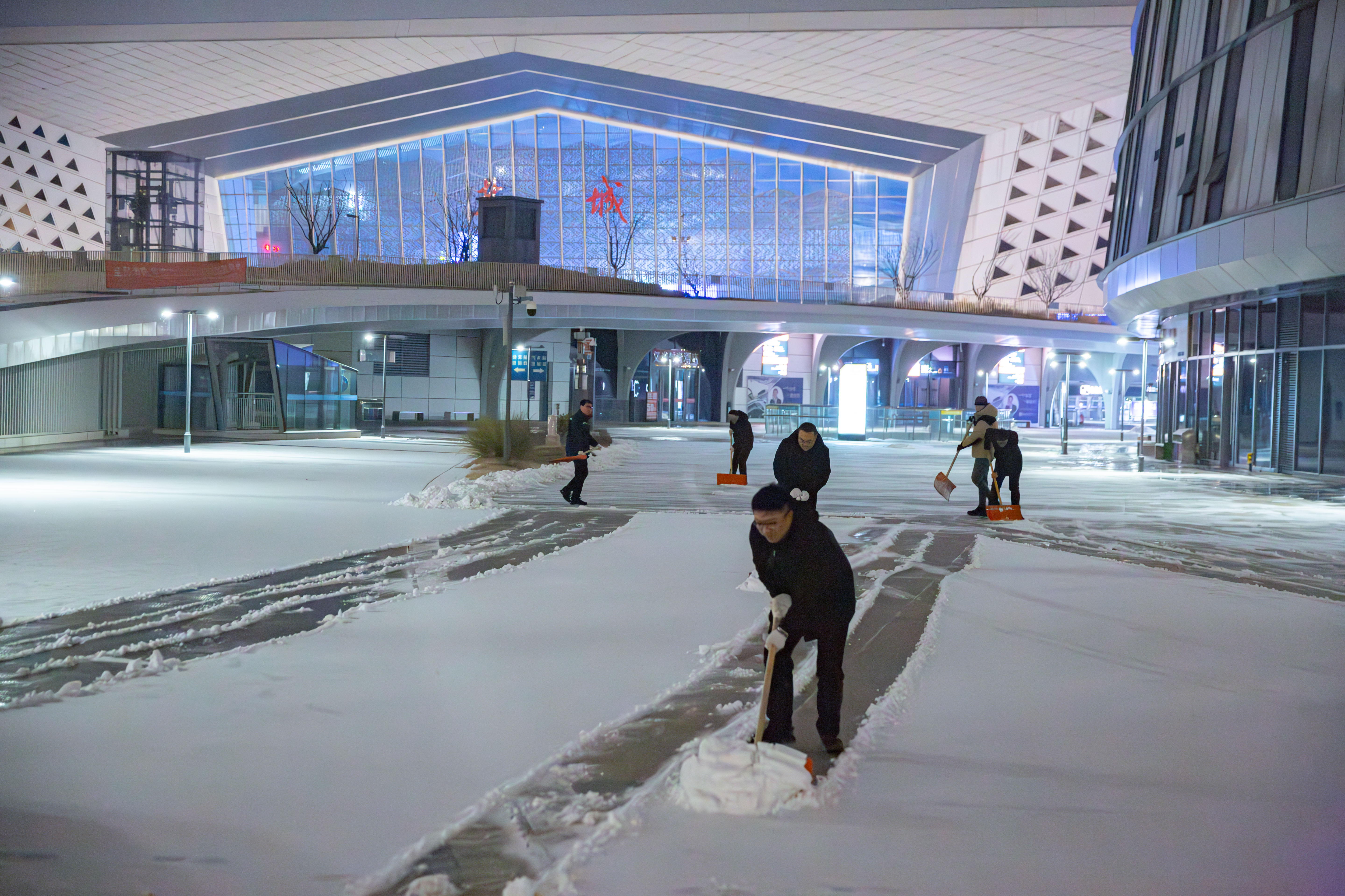 20260119-QA1A9541-已增強(qiáng)-降噪.jpg